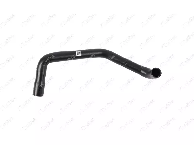 RADIATOR OUTLET HOSE