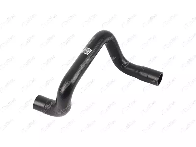 RADIATOR OUTLET HOSE