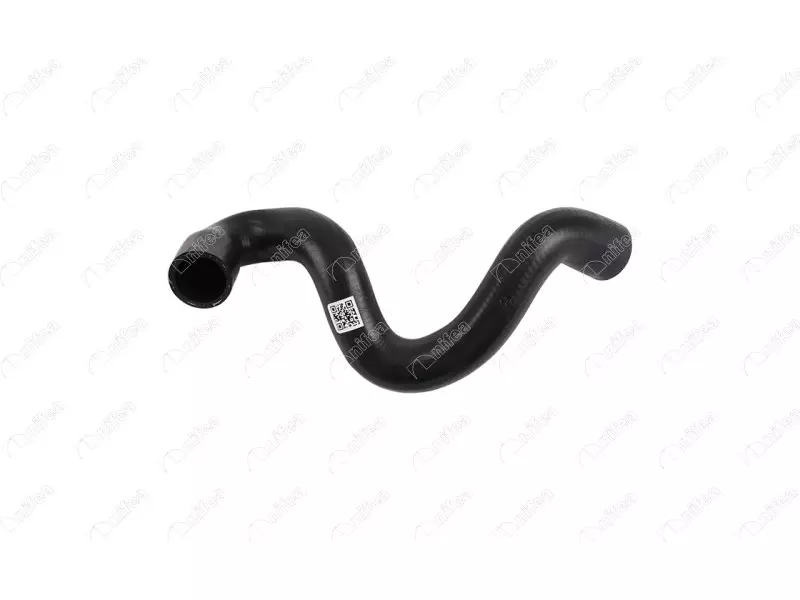 RADIATOR OUTLET HOSE
