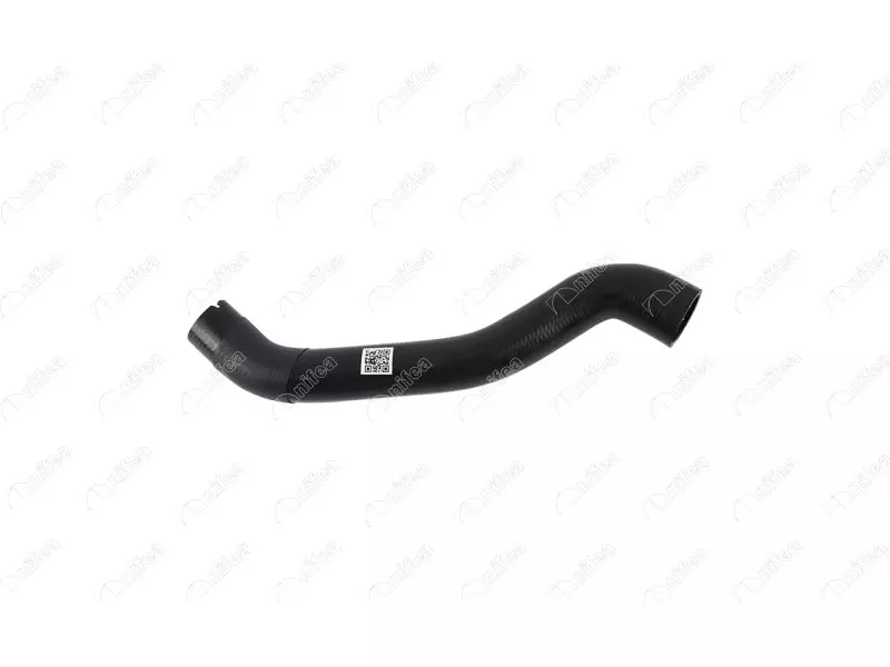 RADIATOR INLET HOSE