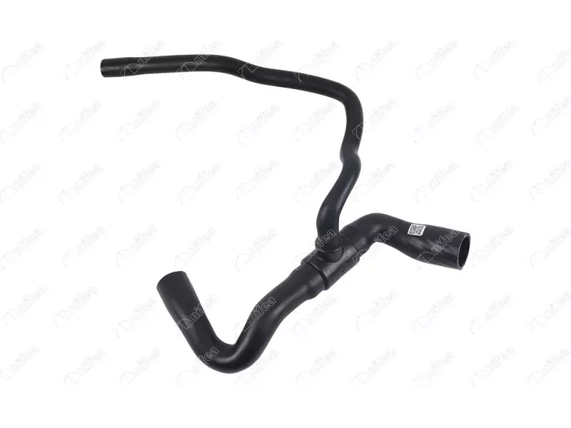 RADIATOR OUTLET HOSE