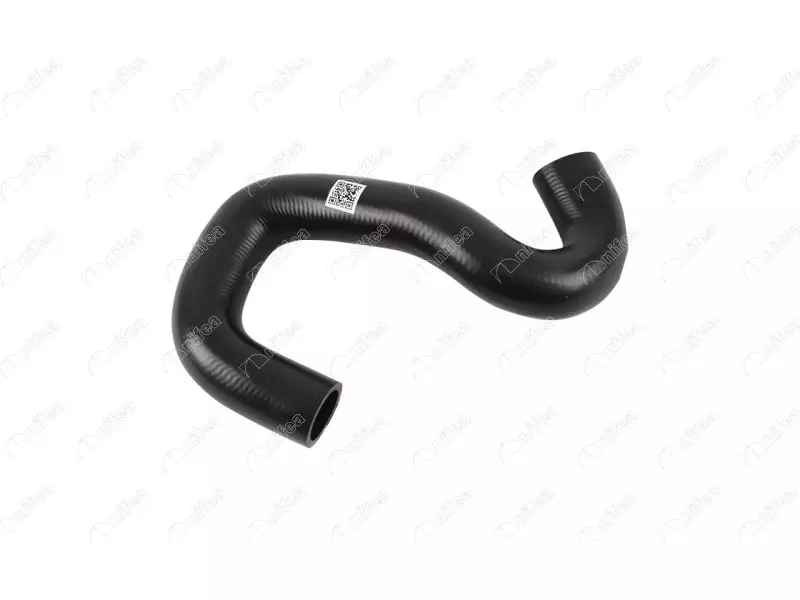 RADIATOR INLET HOSE