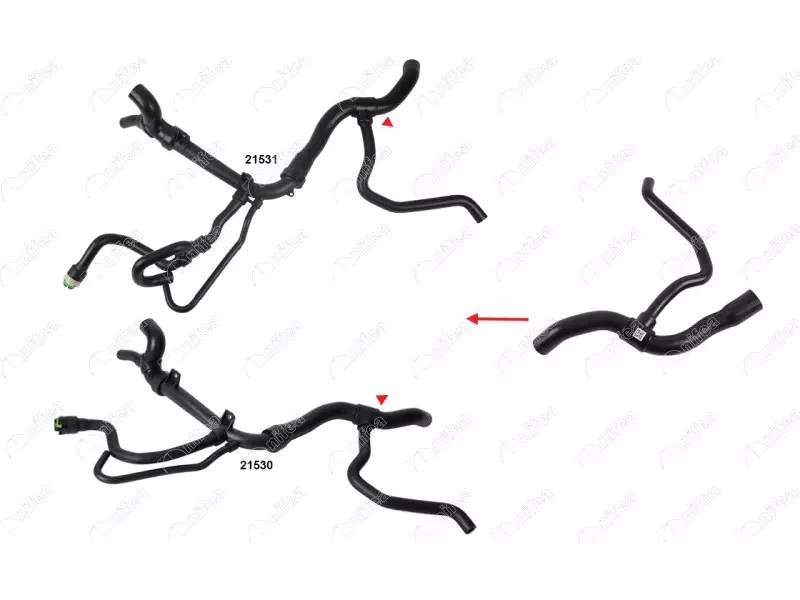 RADIATOR OUTLET HOSE