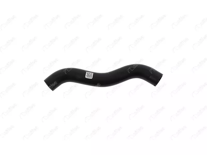 RADIATOR OUTLET HOSE