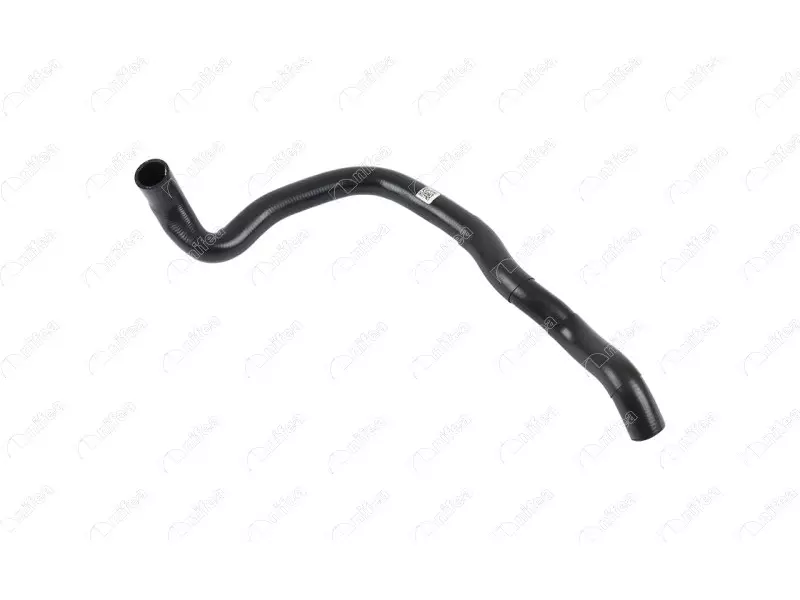 RADIATOR OUTLET HOSE