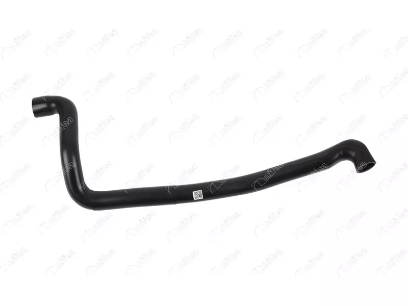 RADIATOR OUTLET HOSE