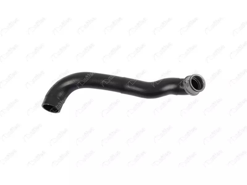 RADIATOR OUTLET HOSE