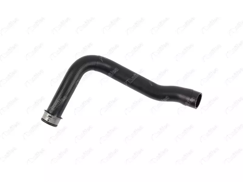 RADIATOR INLET HOSE