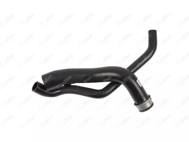 RADIATOR OUTLET HOSE