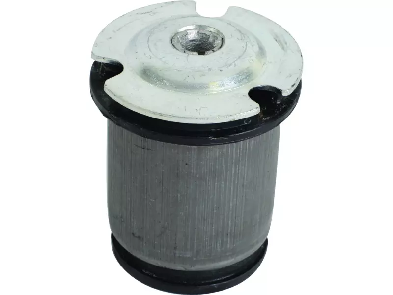 Torsion bushing