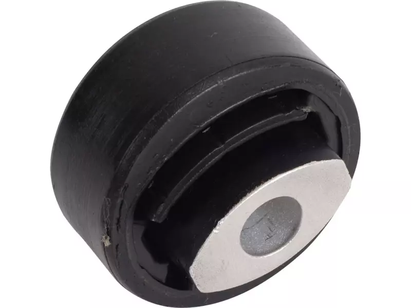 Bush for wishbone, big