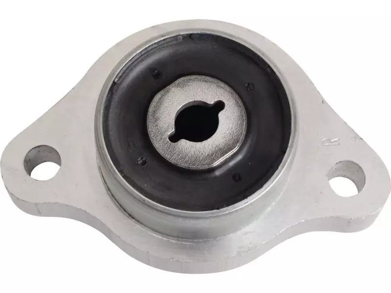 Büyük salıncak burcu, sağ