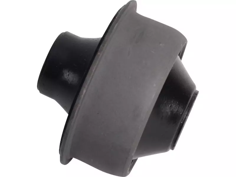 Küçük salıncak burcu, ön