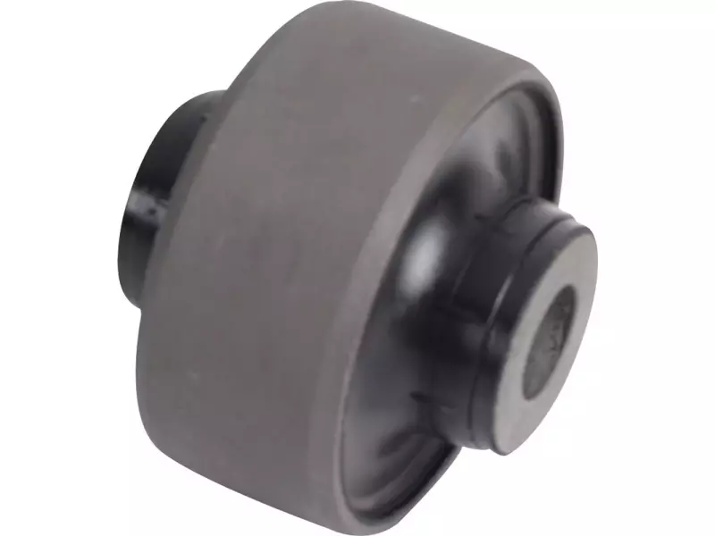 Bush for wishbone, big