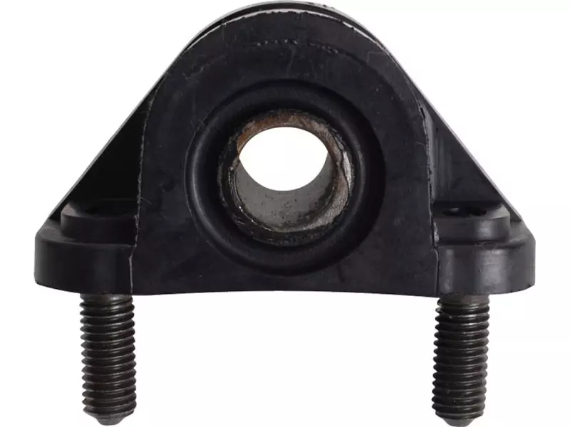 Büyük salıncak burcu