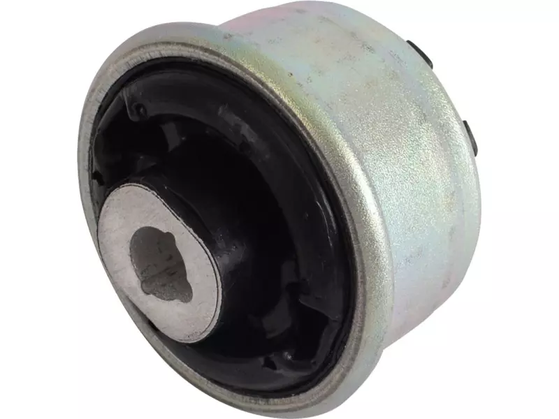 Rear bush for control arm