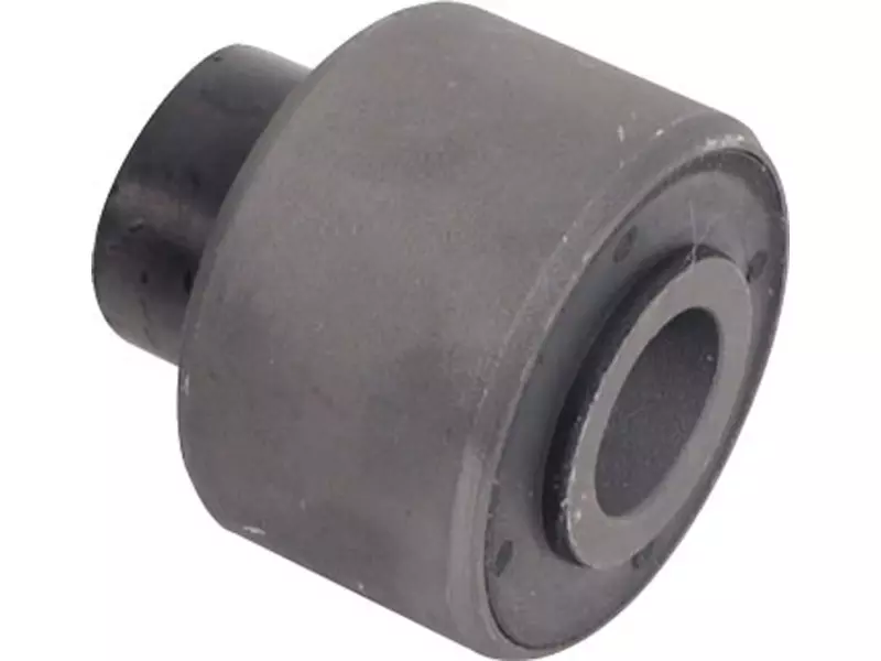 Bush for link stabilizer