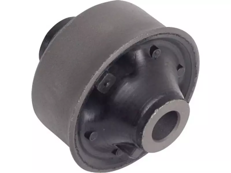 Büyük salıncak burcu, arka