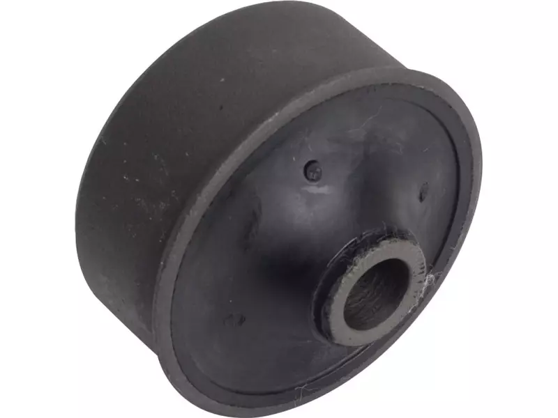 Big bush for lower wishbone, rear (Powered)