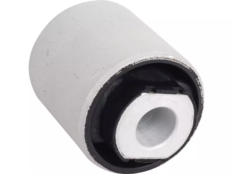 Rear bush for lower control arm