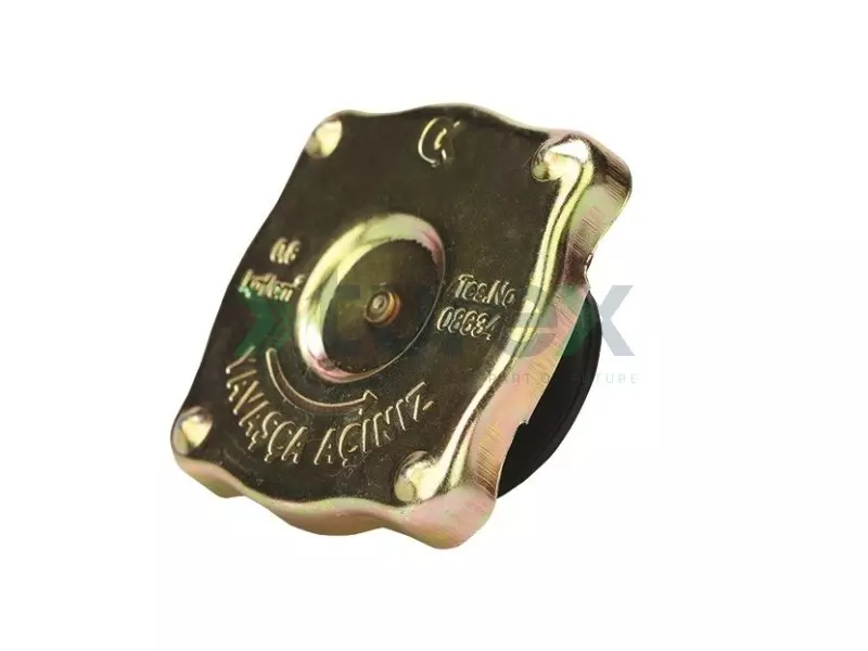 Radiator Cover With Chain Travego, O403