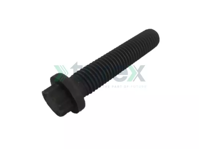 Injector Pump Bolt (M10 x 50 mm) Mercedes 457, Actros