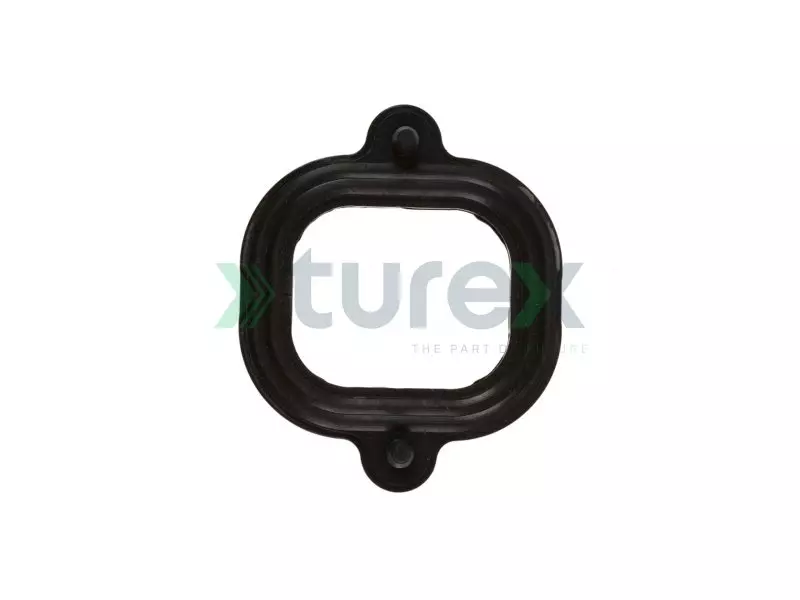 Intake Manifold Gasket Actros