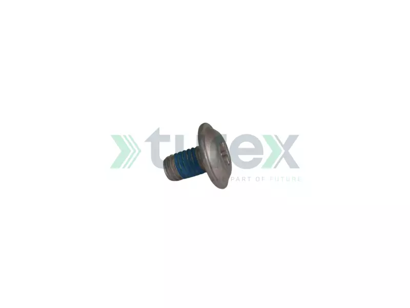 M6x10 Tx Special Flange Screw