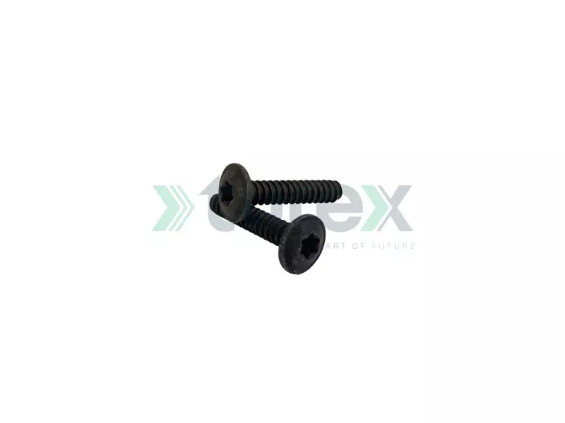 Shutter Screw (6,3 x 25 Mm) Axor, Actros, Atego 