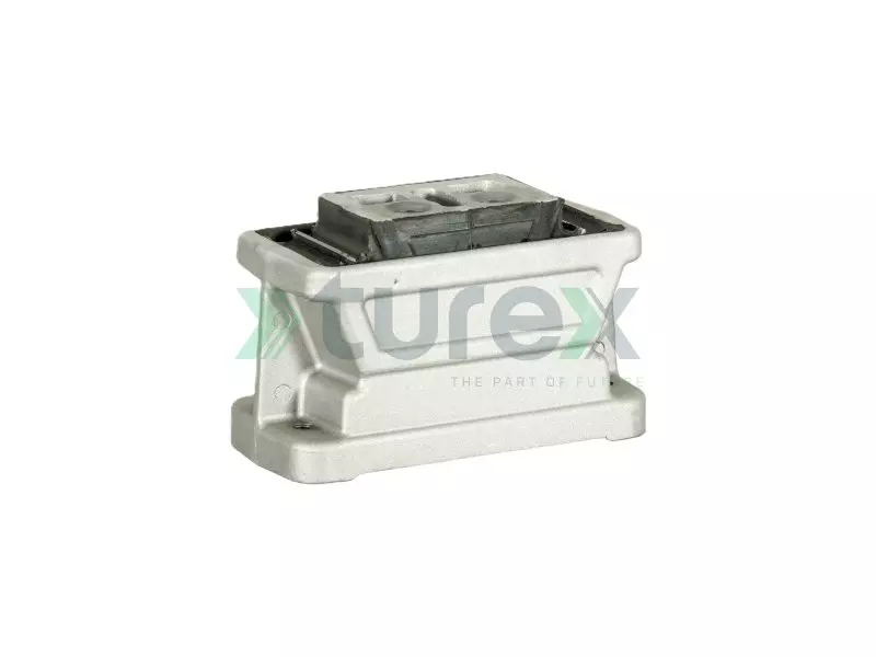 Engine Mounting Rear