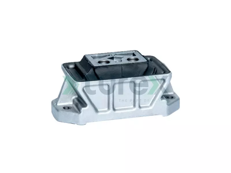 Engine Mounting Rear