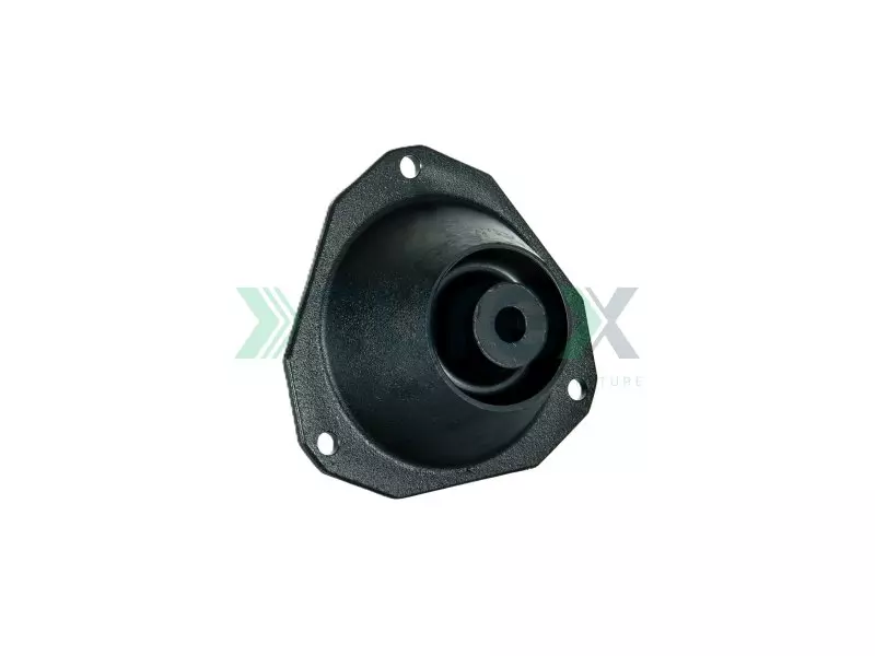 Engine Mounting Rear