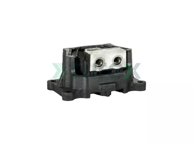 Engine Mounting Rear