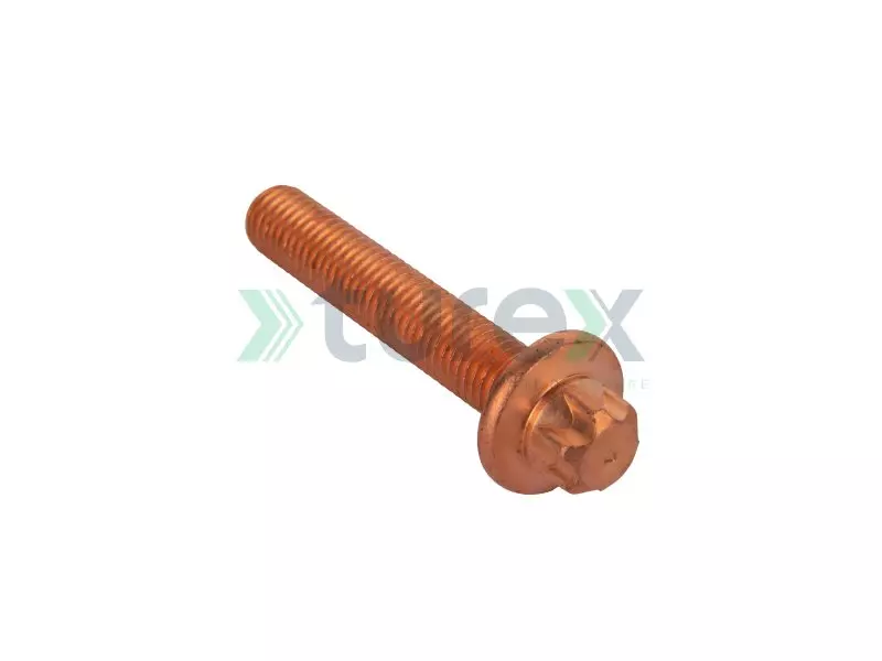 Torx Bolt M10X57-1.7709-E14-Ga-War