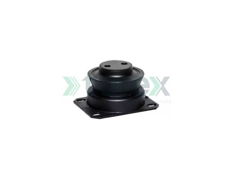 Engine Mounting Rear