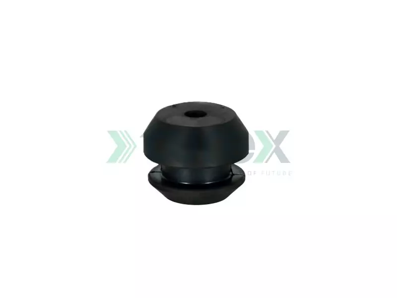 Engine Mounting Rear