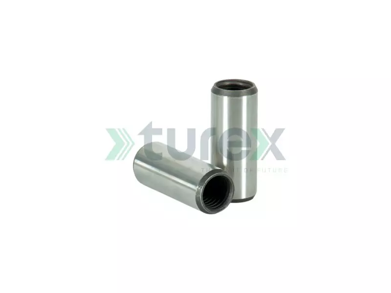 Spring Bushing (Front)