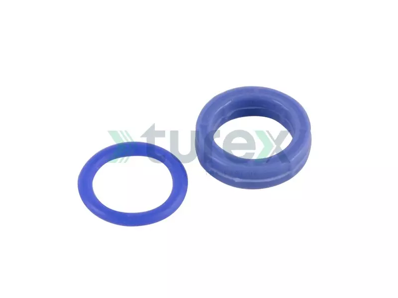 Fuel Module Gasket Kit Daf Euro 6