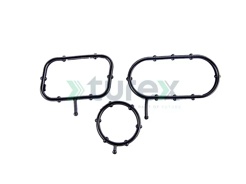 Recirculation Module Gasket Kit Daf MX11 Euro 6