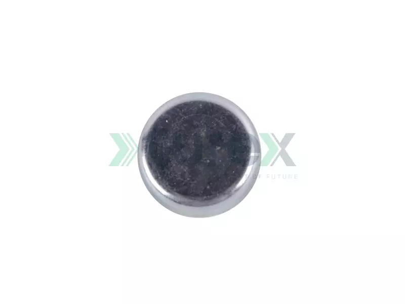 Water Plug Daf Ø32mm