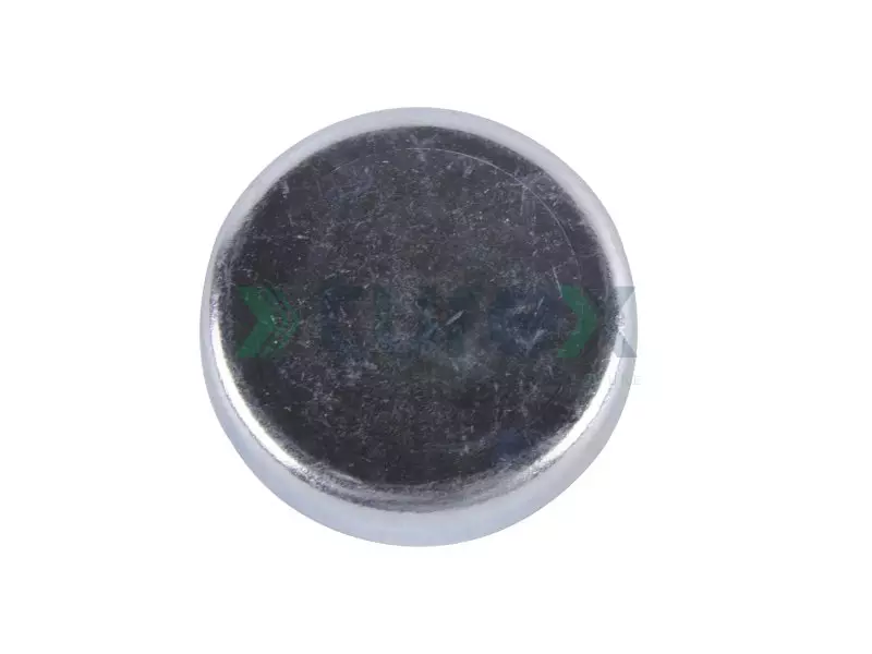 Water Plug Daf Ø45mm