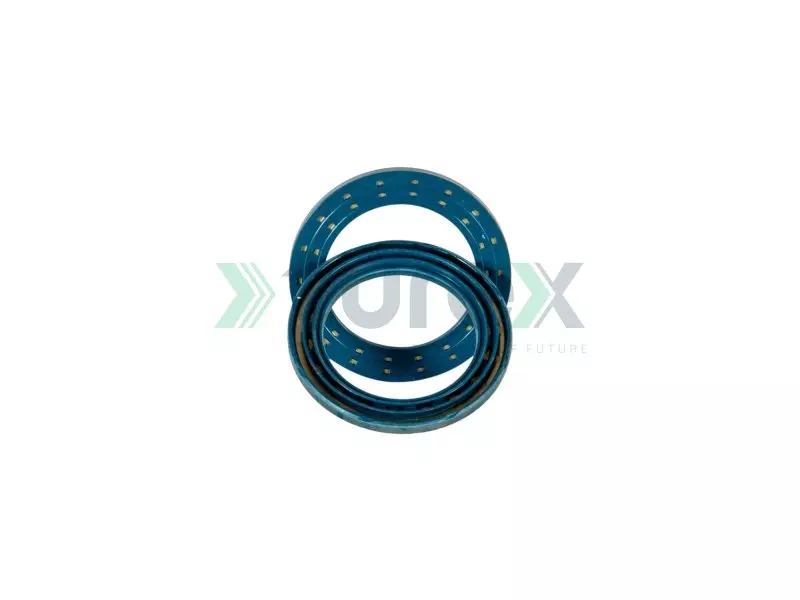 Seal Ring, Cab