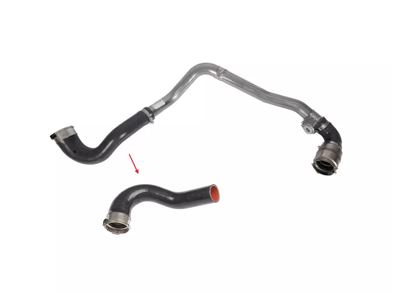 TURBO HOSE
EXCLUDING METAL PIPE 
BIG HOSE SHOWN WITH ARROW