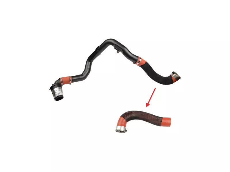 TURBO HOSE
EXCLUDING PLASTIC PIPE 
BIG HOSE SHOWN WITH ARROW