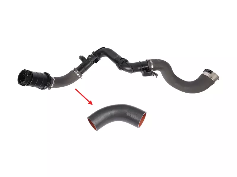 TURBO HOSE
EXCLUDING PLASTIC PIPE 
SMALL HOSE SHOWN WITH ARROW