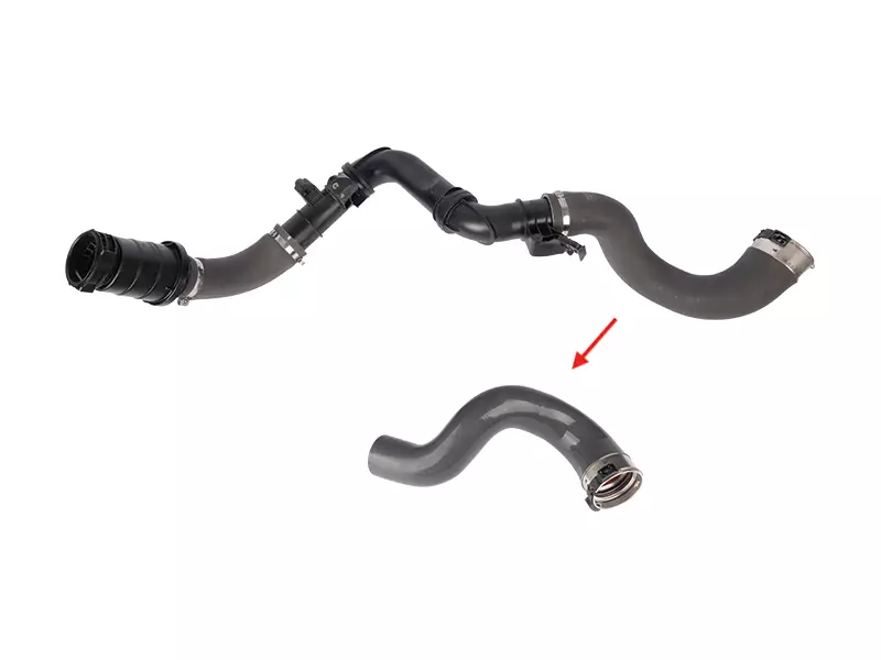 TURBO HOSE
EXCLUDING PLASTIC PIPE 
BIG HOSE SHOWN WITH ARROW