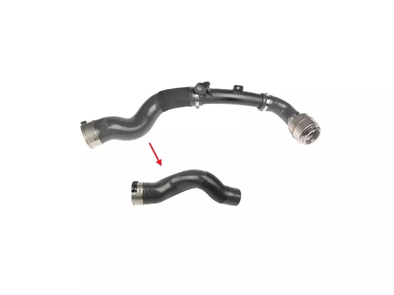 TURBO HOSE
EXCLUDING PLASTIC PIPE 
BIG HOSE SHOWN WITH ARROW