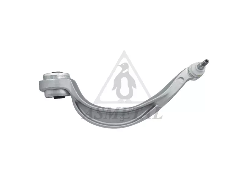 Track Control Arm Lower Right (Without Fasteners)