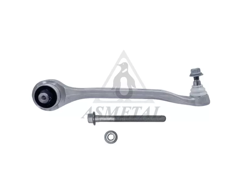 Track Control Arm Lower Right