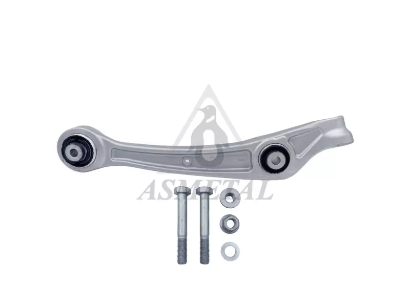 Track Control Arm Lower Right